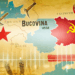 Буковина и СССР: Исторический контекст