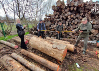 Прокуратура выявила ущерб окружающей среде в Буковине на сумму более 250 тысяч гривен.