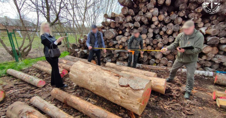 Прокуратура выявила ущерб окружающей среде в Буковине на сумму более 250 тысяч гривен.
