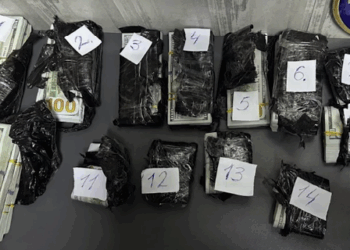 Прокуратура сообщила о подозрении гражданину Грузии за попытку вывоза 11 миллионов гривен