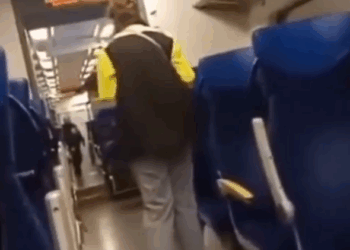 Иди сюда, польская свинья!