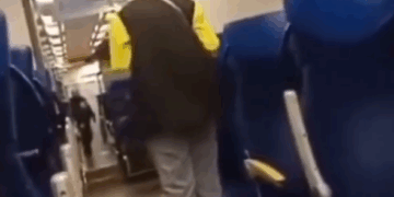 Иди сюда, польская свинья!