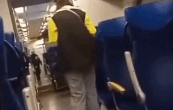 Иди сюда, польская свинья!