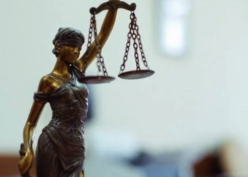 Буковина: незаконная переправка людей